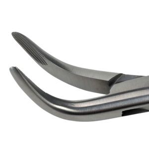 Root Extraction Forceps