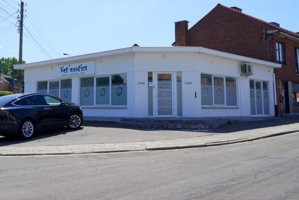 Vet Exotics