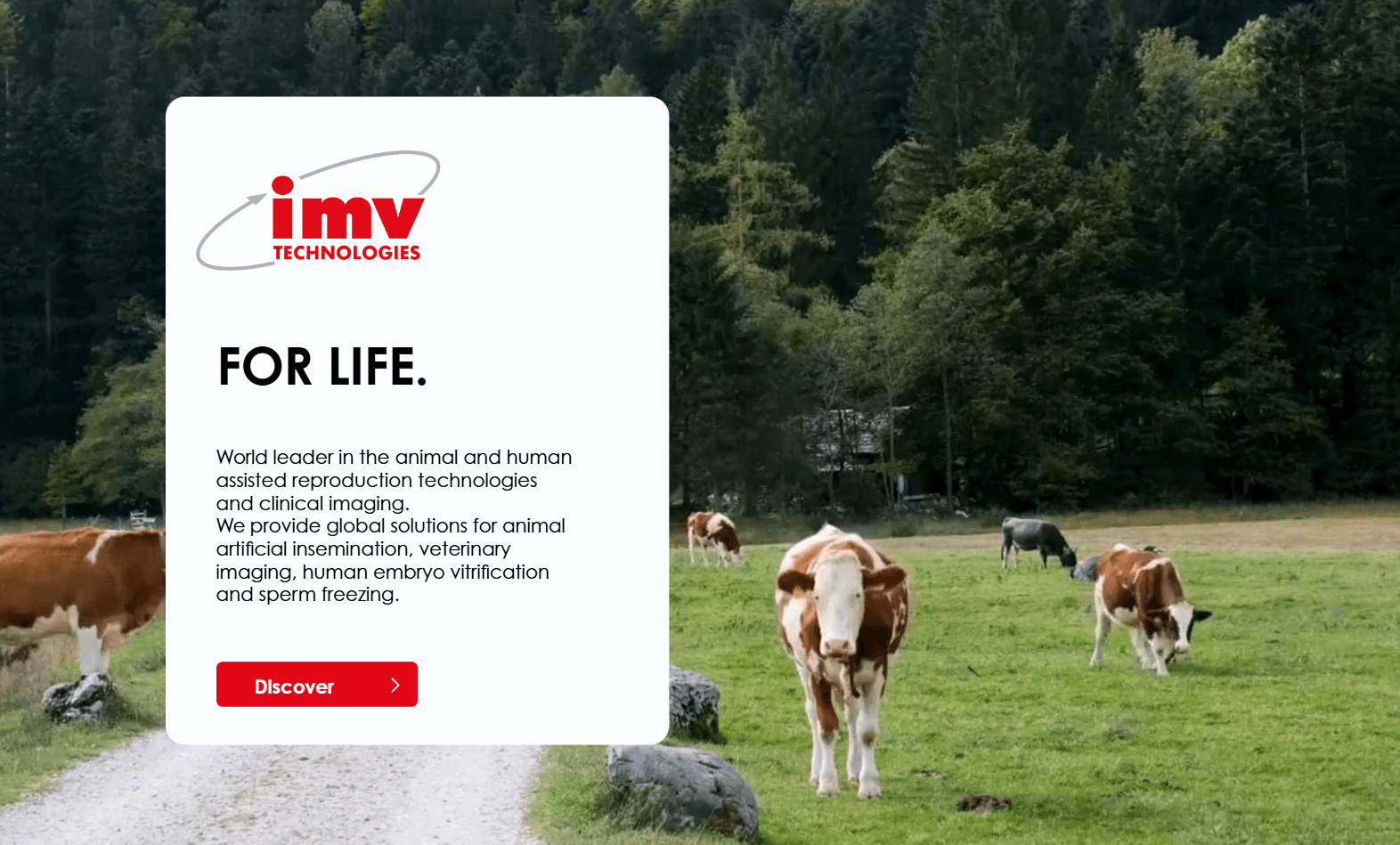 IMV