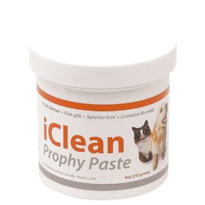 iClean Prophy Paste - Fine - 255g Tub