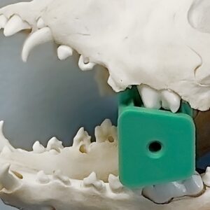 Posterior Rubber Mouth Gag (Small)