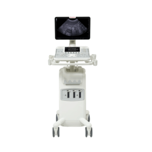 Esaote MyLab X5 echografie systeem voor dierenartsen