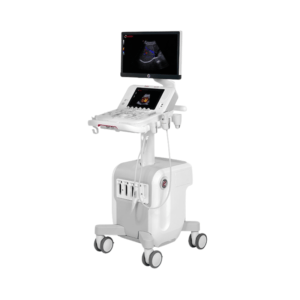 Esaote MyLab X75 echografie systeem voor dierenartsen