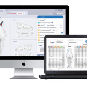 e-VDS Plus - Dental Charting System - 1 Year Subscription