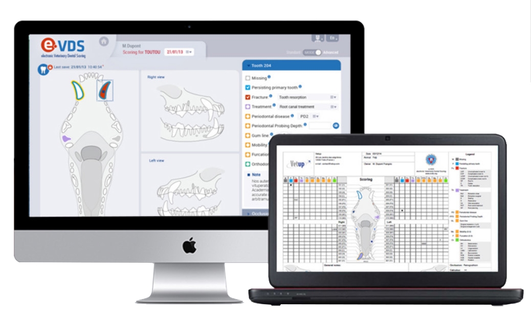 e-VDS Plus - Dental Charting System - 3 Year Subscription