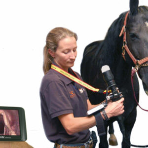 Dr. Fritz bronchoscoop paard